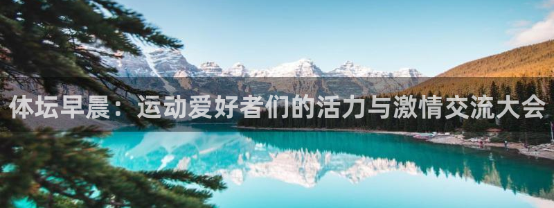 必一运动：体坛早晨：运动爱好者们的活力与激情交流大会