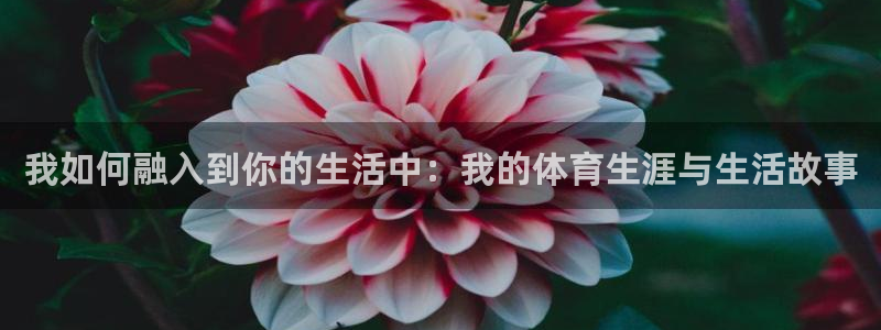 必一运动：我如何融入到你的生活中：我的体育生涯与生活故事