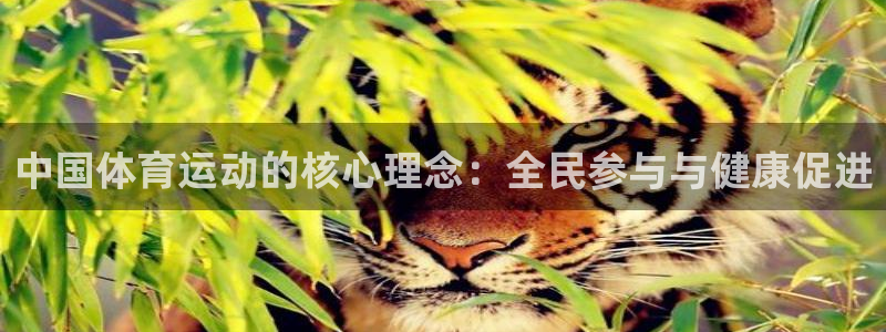 必一运动体育：中国体育运动的核心理念：全民参与与健康促进