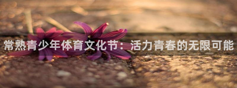 bsports必一运动：常熟青少年体育文化节：活力青春的无限可能