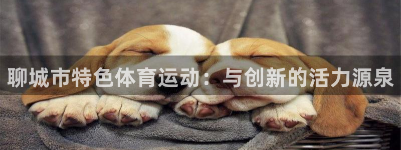 必一运动体育官网：聊城市特色体育运动：与创新的活力源泉