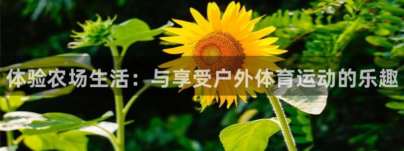 必一运动官网：体验农场生活：与享受户外体育运动的乐趣