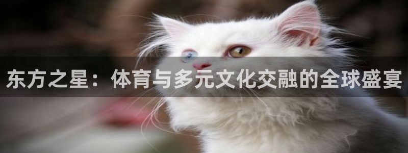 必一运动官网：东方之星：体育与多元文化交融的全球盛宴