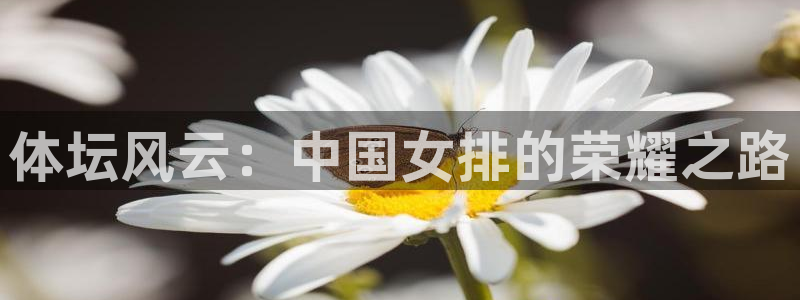 必一运动：体坛风云：中国女排的荣耀之路