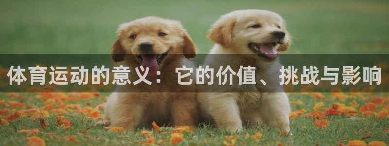 必一运动：体育运动的意义：它的价值、挑战与影响
