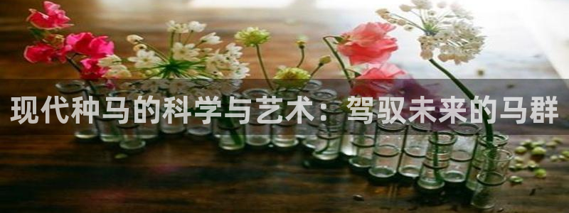 必一运动bsport体育：现代种马的科学与艺术：驾驭未来的马群