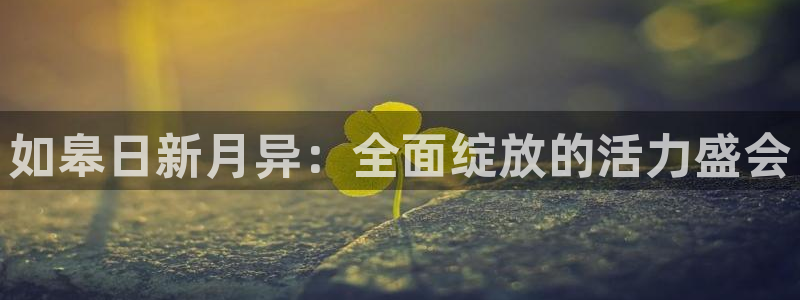 必一运动bsport体育：如皋日新月异：全面绽放的活力盛会