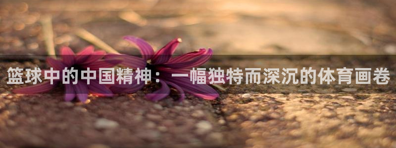 必一运动官网入口：篮球中的中国精神：一幅独特而深沉的体育画卷